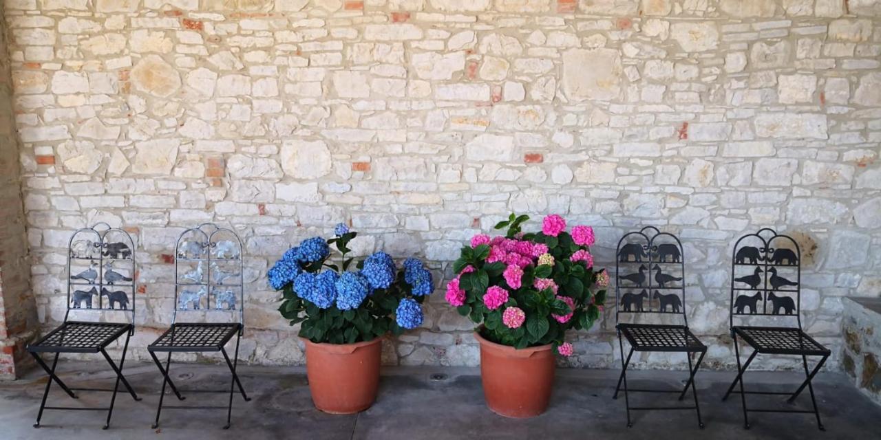 Villa Agriturismo Agronauta Piozzano Exterior foto
