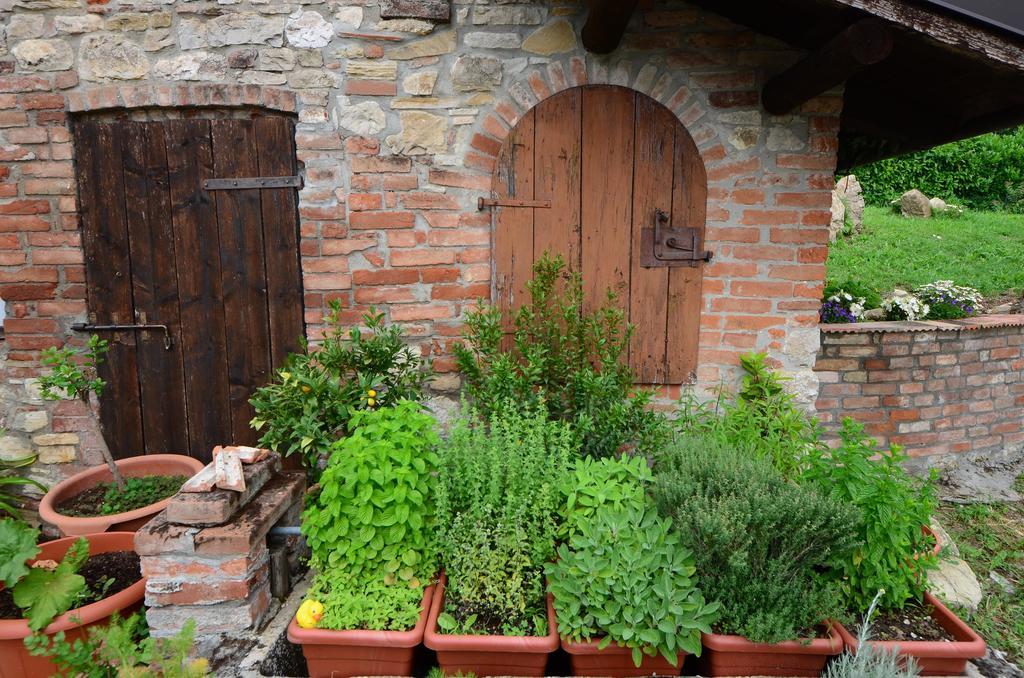 Villa Agriturismo Agronauta Piozzano Exterior foto